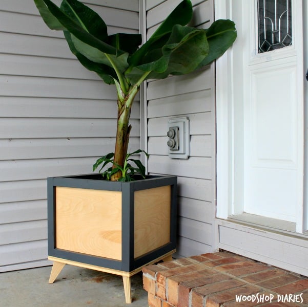 modern planter box 