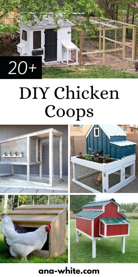 20+ DIY Chicken Coops