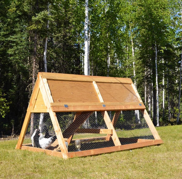 how to build a frame chicken coop free plans from ana white com diy ...