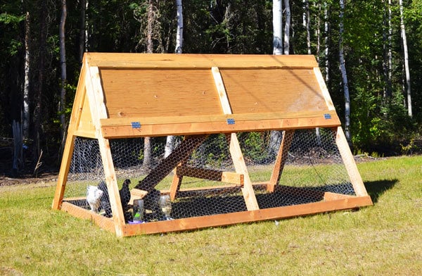 A frame chicken coop
