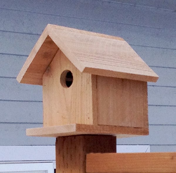  Project: $2 Birdhouse | Free and Easy DIY Project and Furniture Plans