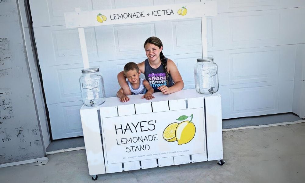 free lemonade stand plans