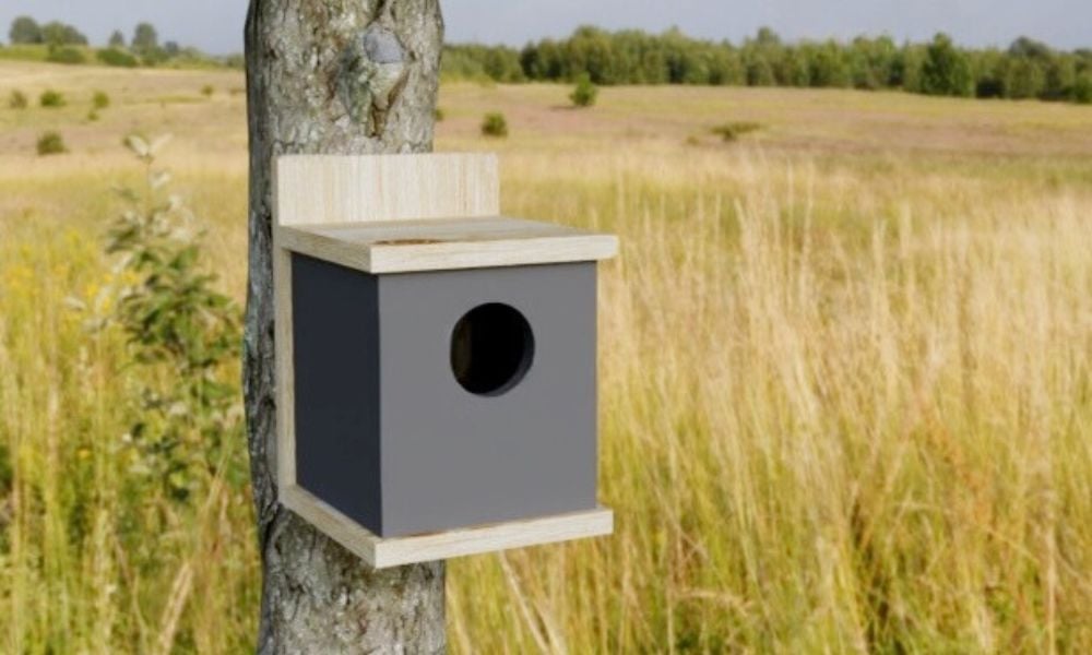 free modern birdhouse plans