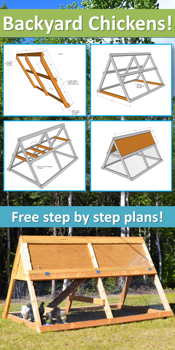a frame chicken coop plans