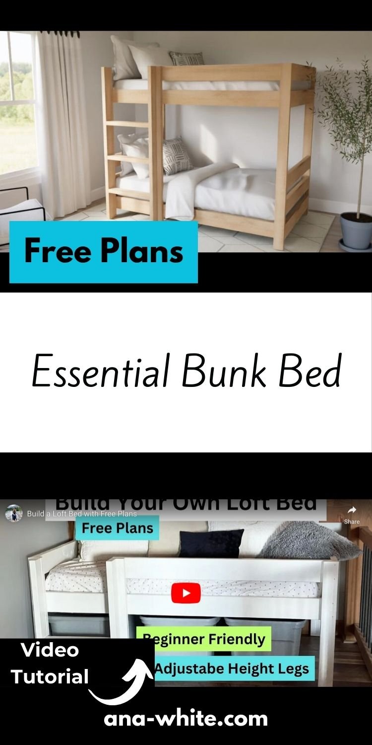 Essential Bunk Bed
