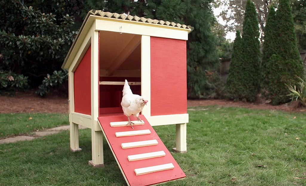 chicken coop with fold down door simple to build free range 