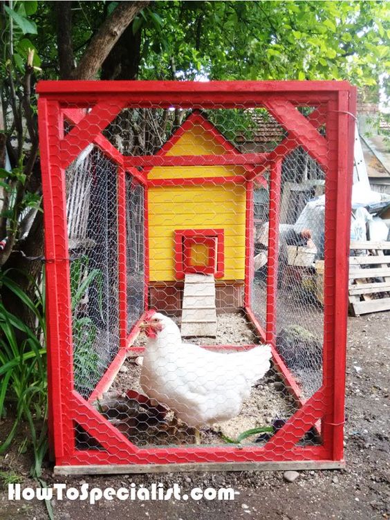 diy insulated chicken coop