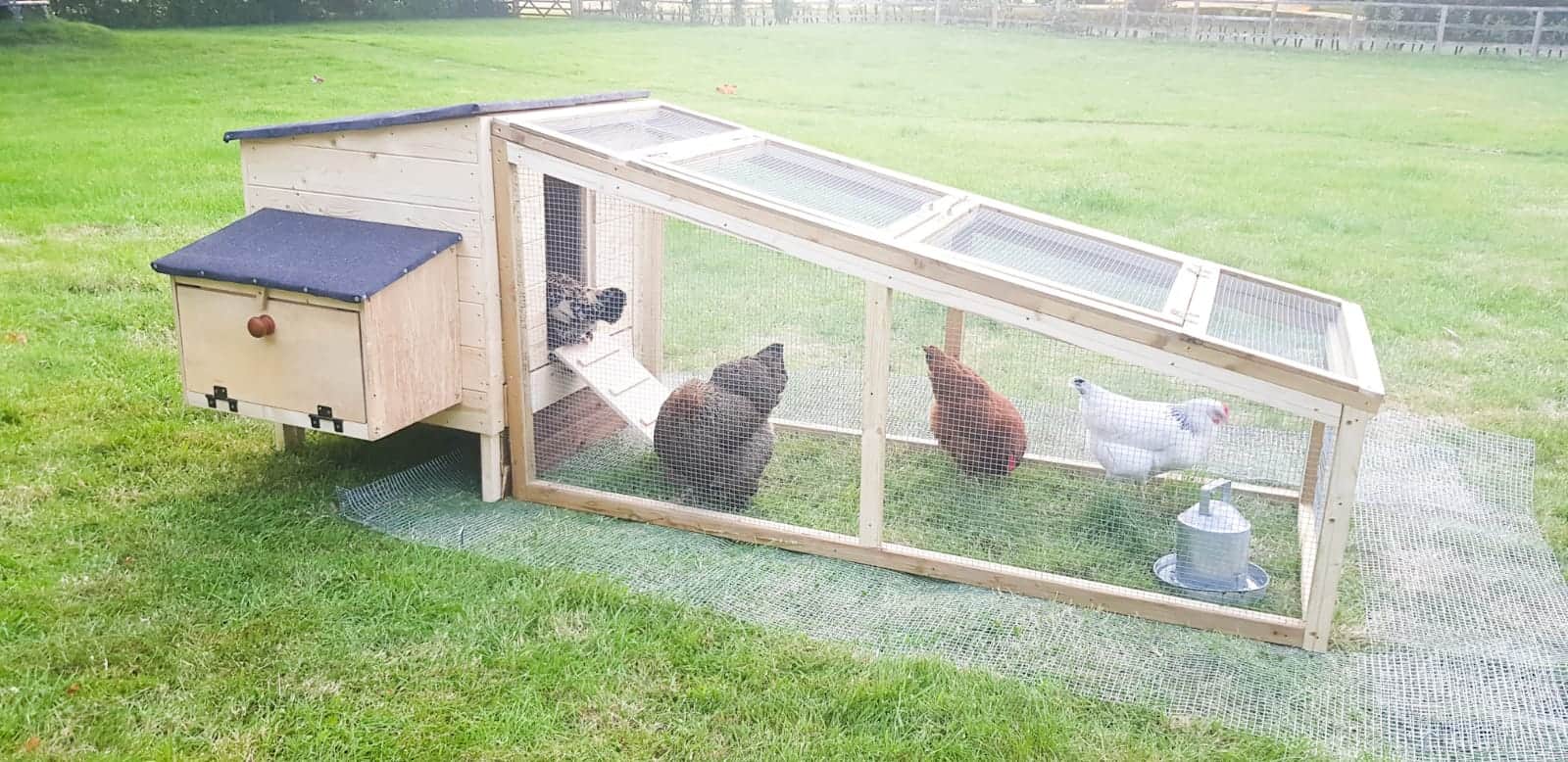 low profile chicken coop with run
