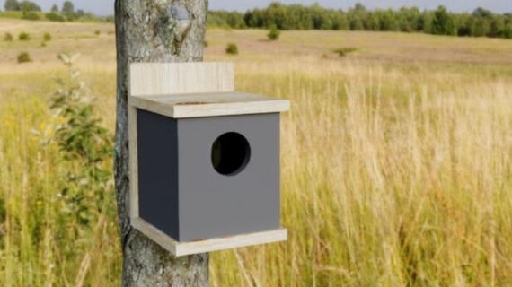 free modern birdhouse plans