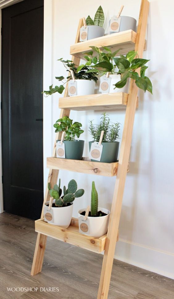 plant ladder shelf