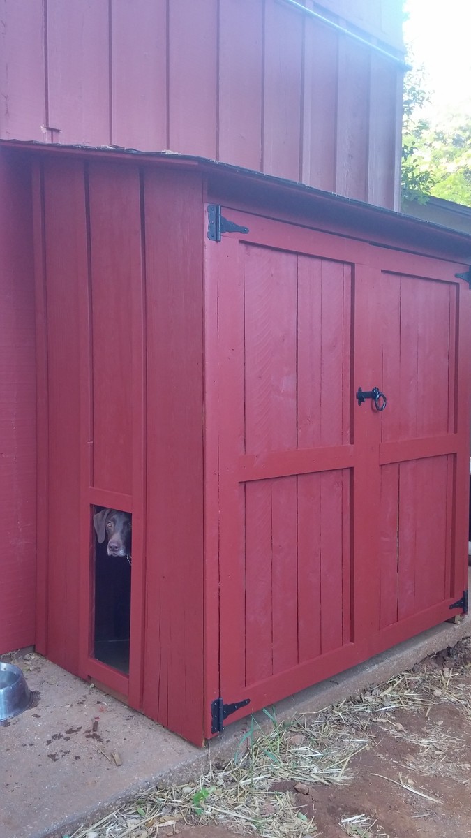 Modified Garden Shed For A Combo Dog House Ana White