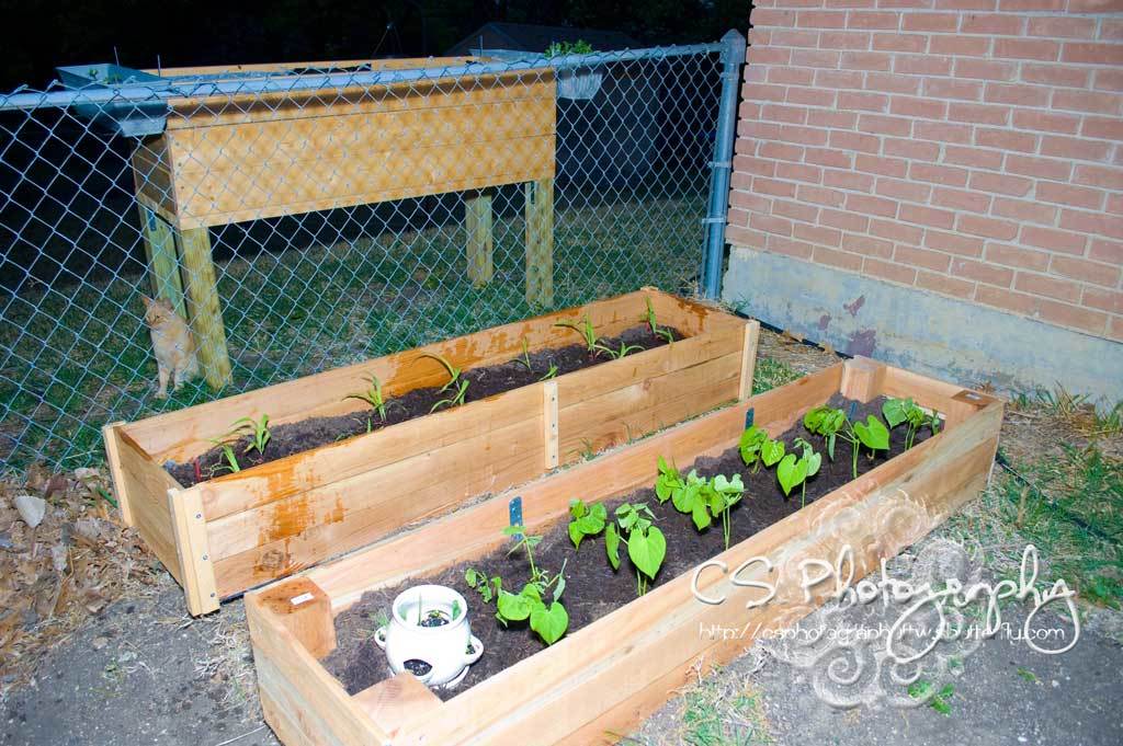 Ana White | Raised Garden Bed Variations - DIY Projects