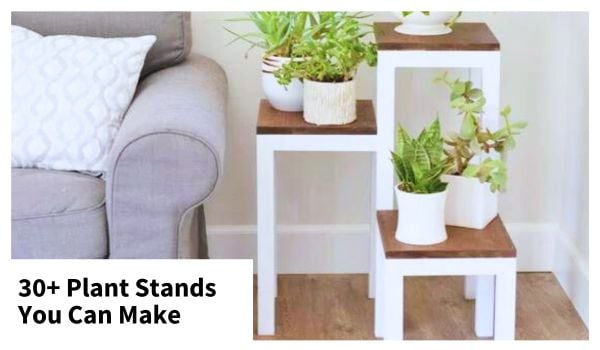 diy plant stands