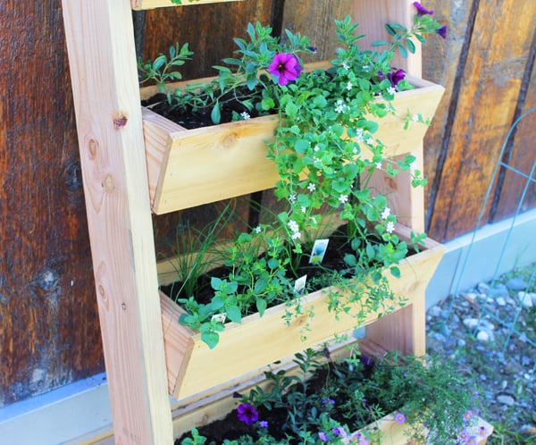 Close up view of the garden boxes with plants