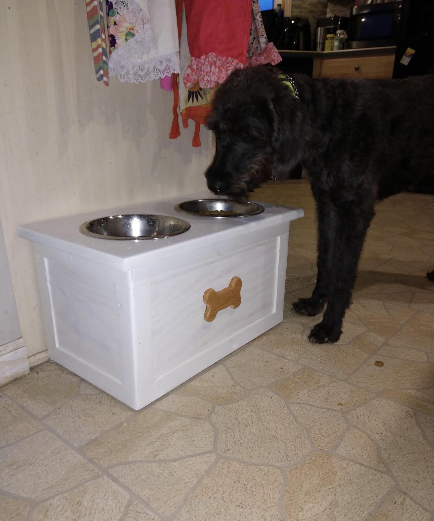 dog feeding station with storage