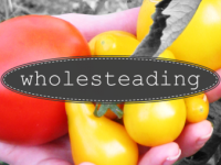 Profile picture for user wholesteading