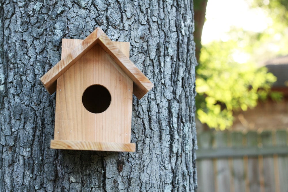 Build A Cedar Birdhouse For 2 Ana White, Wood Bird Houses Plans