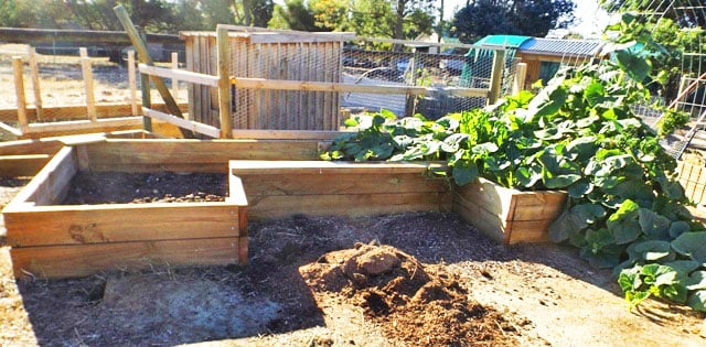 DIY raised garden beds large