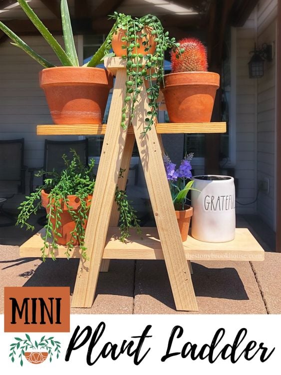 mini plant ladder