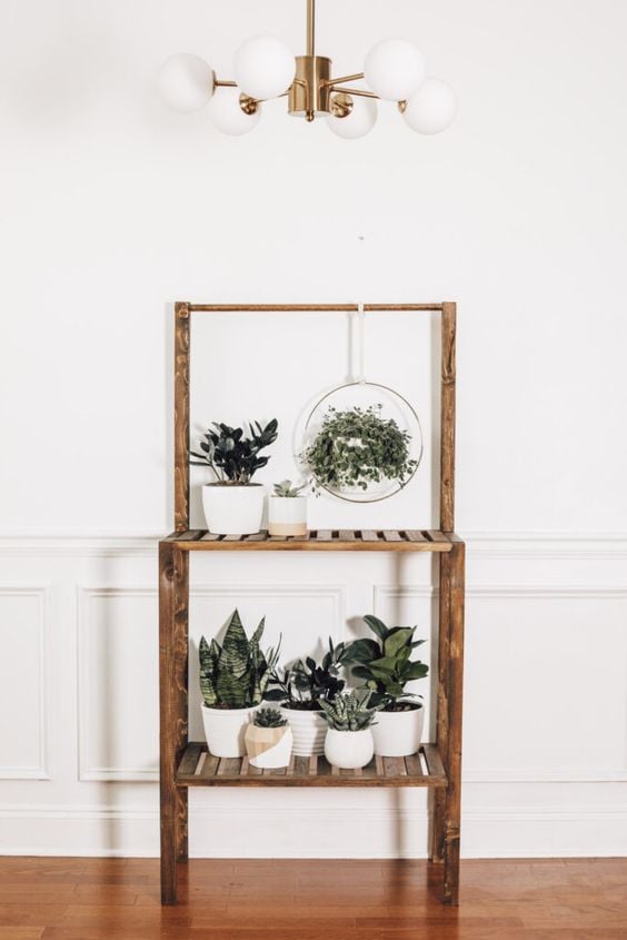 indoor plant shelf