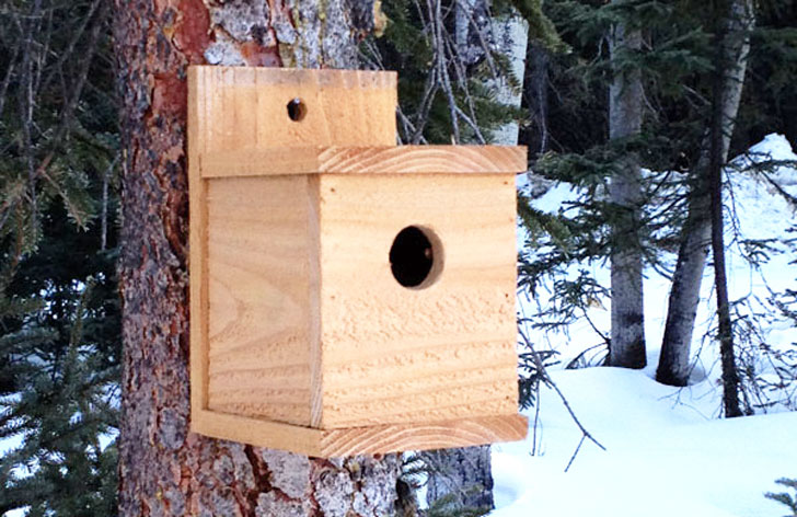 modern cedar birdhouse plans
