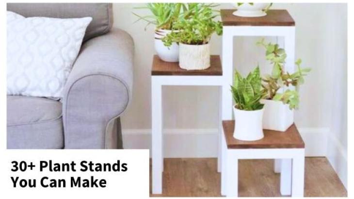 diy plant stands