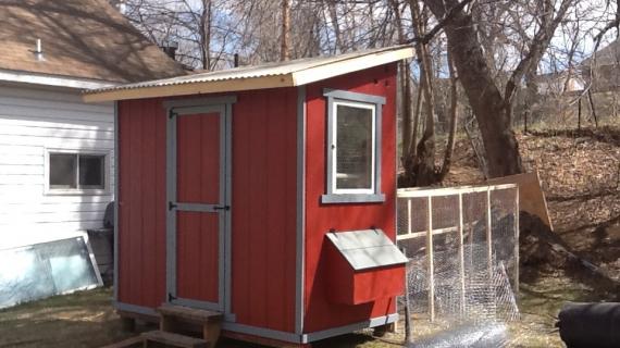 Shed Chicken Coop Ana White