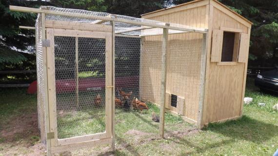 Shed Chicken Coop Ana White