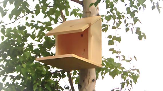 bird nesting house diy plans