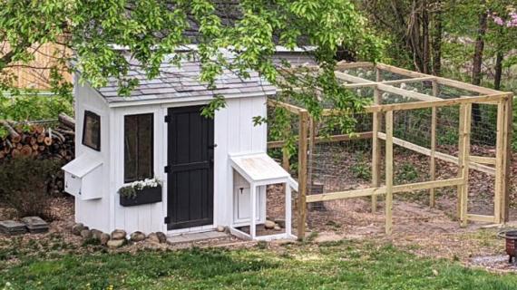 diy shed chicken coop free plans